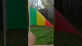 Flag of Mali waving in the wind