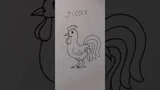 how to draw cock easy for beginner