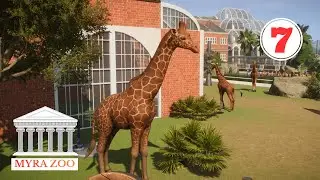 Z&uuml;rafalar ve Filler || Planet Zoo Franchise Mode || (T&uuml;rk&ccedil;e) || Myra Zoo || B&ouml;l&uuml;m 7