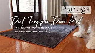 Door Mat Dirt Trapper Has Our Dogs Approval!