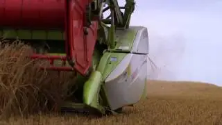 UK Spring Barley World Harvest Record Yield