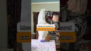 Как я засолила тюль. Проверила метод стирки из прошлого