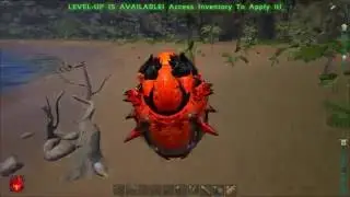 Ark survival evolved Annunaki E2! Starter Ptera and Alpha Dire Bear and Doedicurus! Center