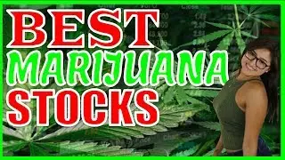 Best Marijuana Stocks to Trade | Cannabis Stocks