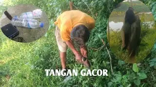 NIATNYA MANCING SIDAT//MALAH DAPAT IKAN NILA.