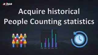 DSS 8.6- How to acquire historical People Counting statistics / data