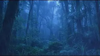 🌧️ Super Calming Heavy Rain in a Cozy Night for Instant Deep Sleep & Insomnia Relief ASMR 😴
