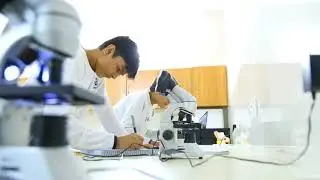 LGS gulberg introductory video