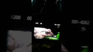 Tiny frog macro photography bts #behindthescenes #shorts #instagram  #bts  #youtube #photography