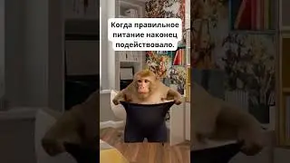 When proper nutrition finally works. Когда правильное питание наконец подействовало #funny