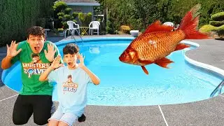 Jason e Alex e la storia del pesce magico 🐠 Divertente video comico per bambini a casa
