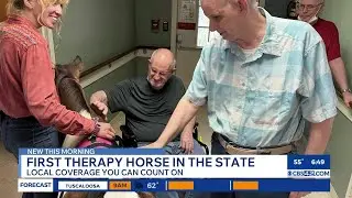 First therapy horse in Alabama