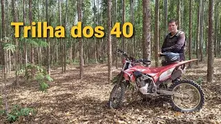#Chanflora - Trilha dos 40