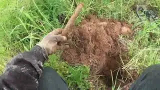 #металлокоп #эквинокс #нива копать ,копать и ещё раз копать 🤔