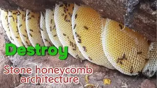 MIND-BLOWING Honeycomb Stone Structures That Will Leave You Speechless