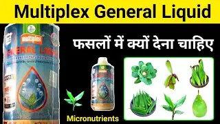 MULTIPLEX GENERAL LIQUID FERTILIZER | Micronutrients Fertilizer | Zinc Magnesium Copper Iron Boron .