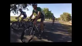 TLR Community Peleton