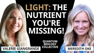 Your Morning Light Exposure Determines Your Entire Day