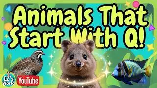 Animals That Start With Q 😊 | Meet Quokkas & More Alphabet Animals for Kids!