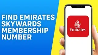 Как найти номер участника Emirates Skywards &mdash; быстро и просто