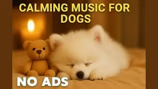 12H Calming Dog Music 🎵 Pink Noise for Sleep & Anxiety Relief 🐶