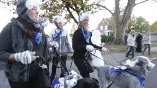 Camp Hill's wild 2016 Halloween Parade