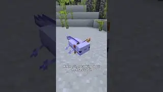 The Rarest Mob in Minecraft! 😯