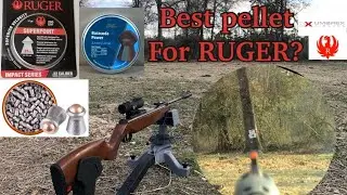 Which pellets are best for your Ruger Impact .22 caliber air rifle? H&N, Superpoint, Gamo Rocket?