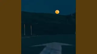 moonlight echoes