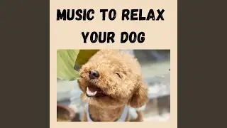 Recharge Mode