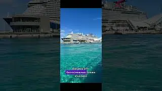 Багамы vs Гавайи: где рай настоящий? 🌴🏖️ Сравниваем!