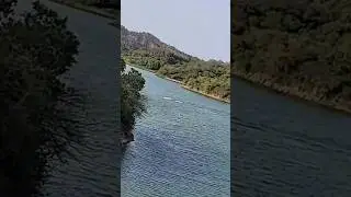 Thana Dam at Hoshiarpur Punjab | Hoshiarpur Forest Division|