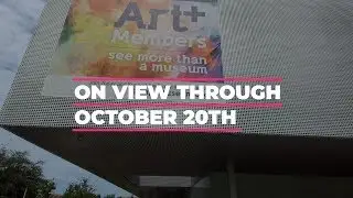 Tableau and Transformation: Photography from the Permanent Collection