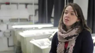 QML Aquaculture