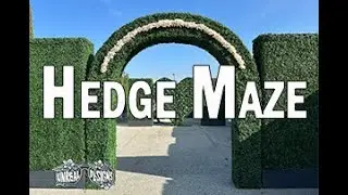 Hedge Maze