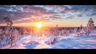Cry Winter by Joseph Stefanits