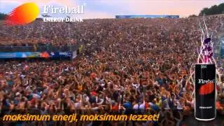 Fireball Energy Drink