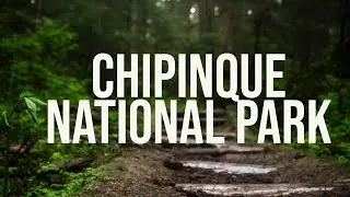 Walking in a forest - Chipinque Ecological Park, Monterrey (Mexico)