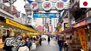 🇯🇵【4K】Tokyo Winter Walk 2021 - Ameya alley to Ueno Park  | アメヤ横丁 上野公園  (February 2021)