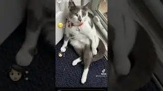 Шон и Шери часть 1