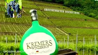 GROSSHEUBACH GERMANY ROAD TRIP #spotted  #vineyard   @titaannievlogger