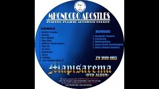 Mapisarema DVD Album Intro - ZZAC Mhondoro Apostles