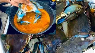 BLUE CRAB CATCH AND COOK* CREATING MY OWN LIFESTYLE IN FLORIDA