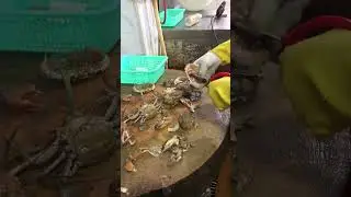 #Blue crab cutting process #crab #meat cutting master #meat cutting skills #popular video