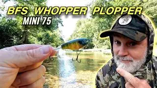 Whopper Plopper MINI 75 Solves THIS Creek Fishing Problem!