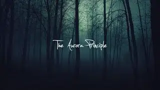 The Aurora Principle - When She Dreams of You