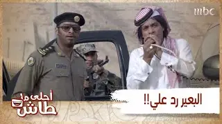 أحلى ماطاش- تخيل تسولف مع بعير؟!