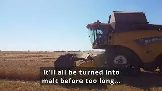 Malting Barley Harvest 2022 Done!