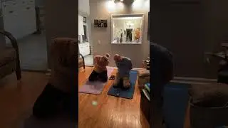 Day 72 of my mobility journey.  #mobility #crossfitkoinonia #mobilityfam #mobilitywithdakota