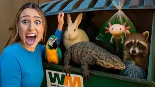 RESGATEI ANIMAIS ABANDONADOS NOS LIXÕES DA MINHA CIDADE !
